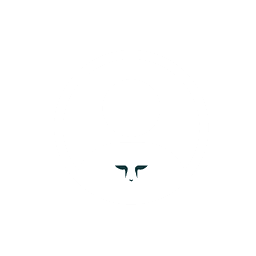 Personalized  Player Profile